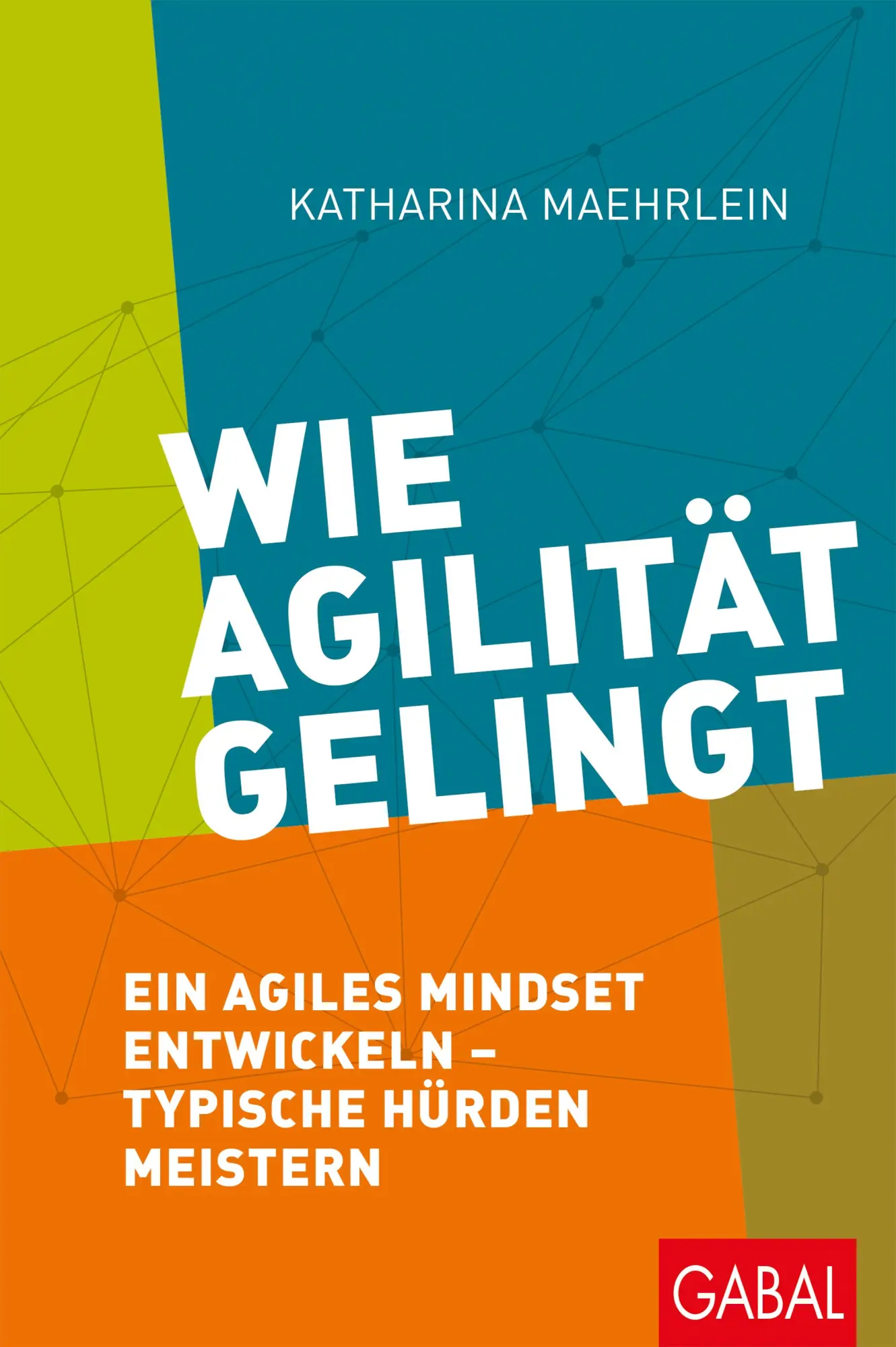 Cover: 9783869369648 | Wie Agilität gelingt | Katharina Maehrlein | Buch | Dein Business
