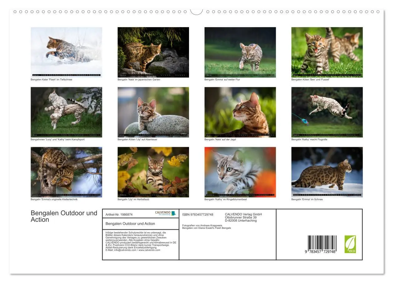 Bild: 9783457729748 | Bengalen Outdoor und Action (hochwertiger Premium Wandkalender 2026...