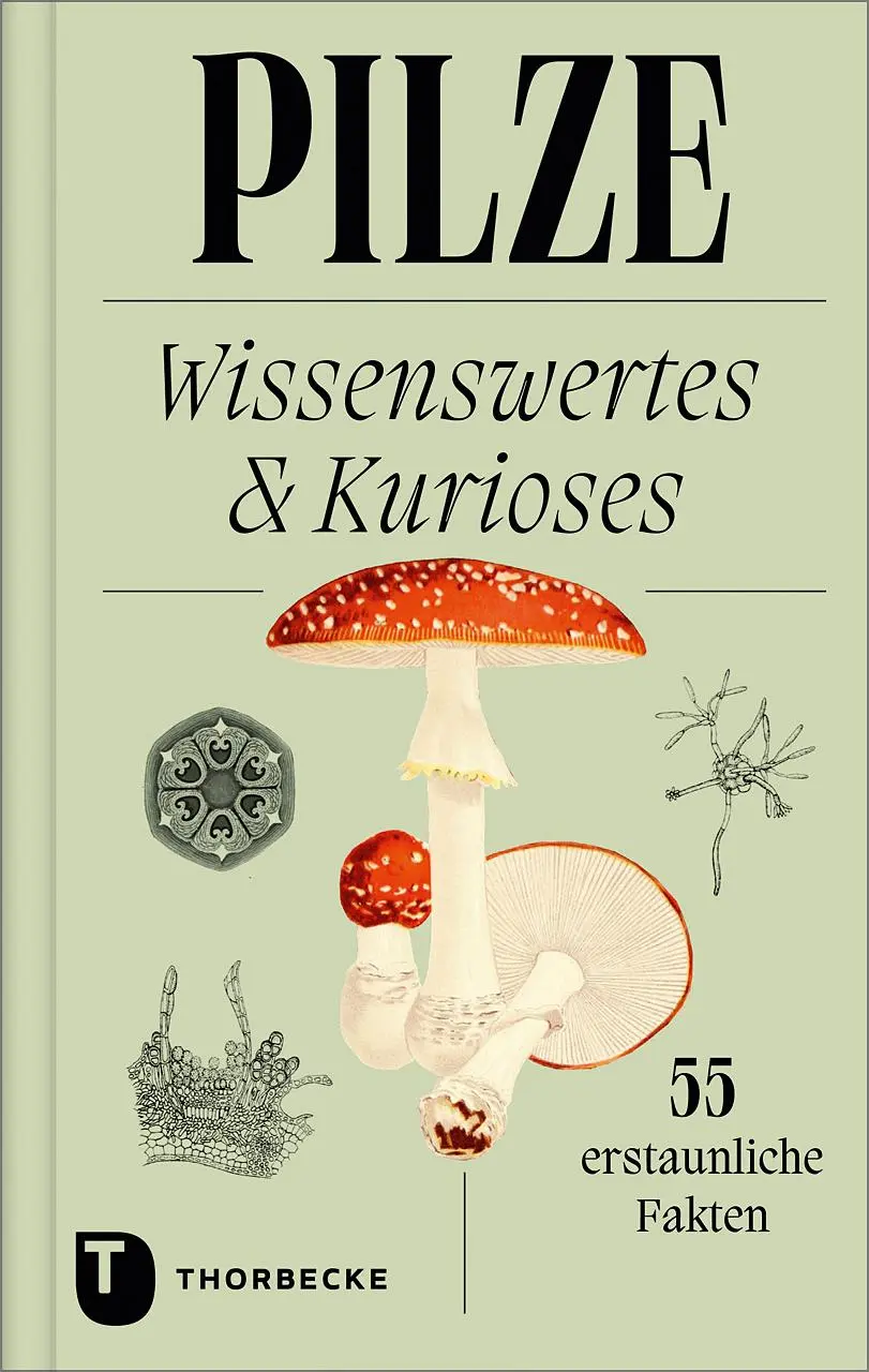 Cover: 9783799519748 | Pilze | Wissenswertes und Kurioses - 55 erstaunliche Fakten | Buch