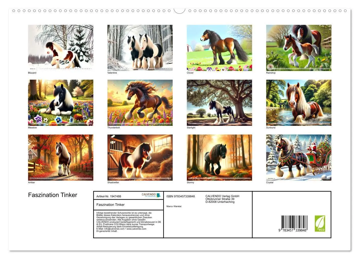 Bild: 9783457339848 | Faszination Tinker (hochwertiger Premium Wandkalender 2026 DIN A2...