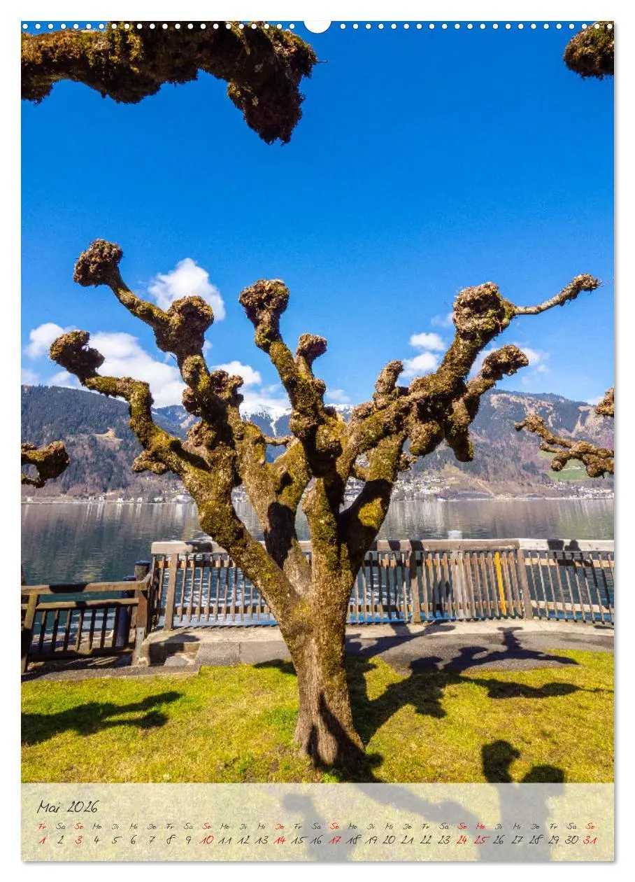 Bild: 9783516289848 | Rund um Zell am See (Wandkalender 2026 DIN A2 hoch), CALVENDO...