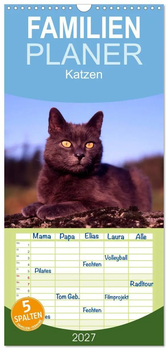Cover: 9783594339848 | Familienplaner 2027 - Katzen mit 5 Spalten (Wandkalender, 21 x 45...