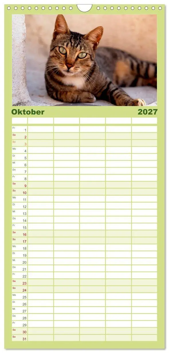 Bild: 9783594339848 | Familienplaner 2027 - Katzen mit 5 Spalten (Wandkalender, 21 x 45...