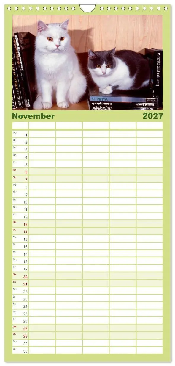 Bild: 9783594339848 | Familienplaner 2027 - Katzen mit 5 Spalten (Wandkalender, 21 x 45...