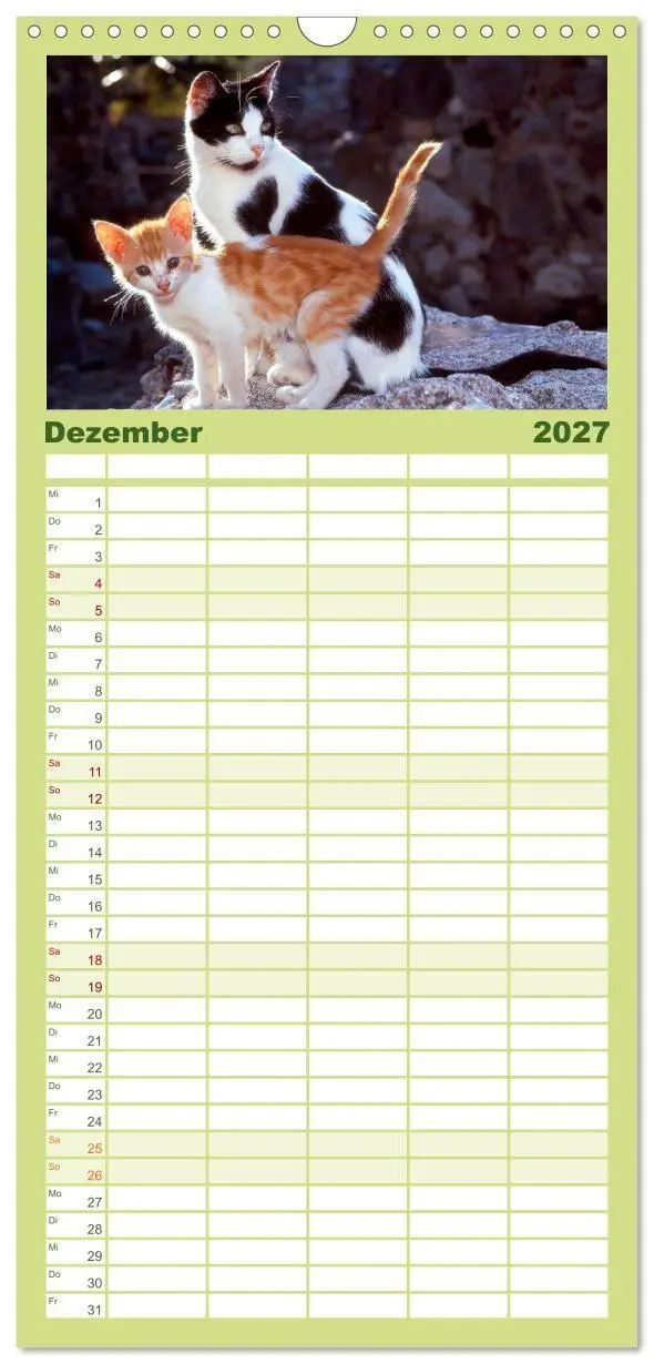 Bild: 9783594339848 | Familienplaner 2027 - Katzen mit 5 Spalten (Wandkalender, 21 x 45...
