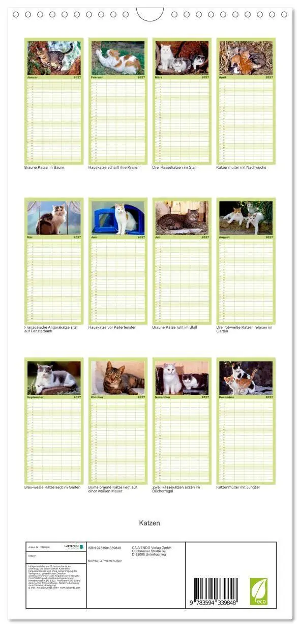 Bild: 9783594339848 | Familienplaner 2027 - Katzen mit 5 Spalten (Wandkalender, 21 x 45...