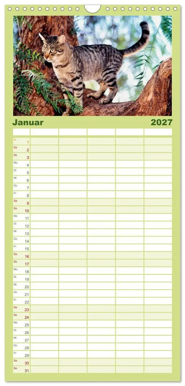 Bild: 9783594339848 | Familienplaner 2027 - Katzen mit 5 Spalten (Wandkalender, 21 x 45...