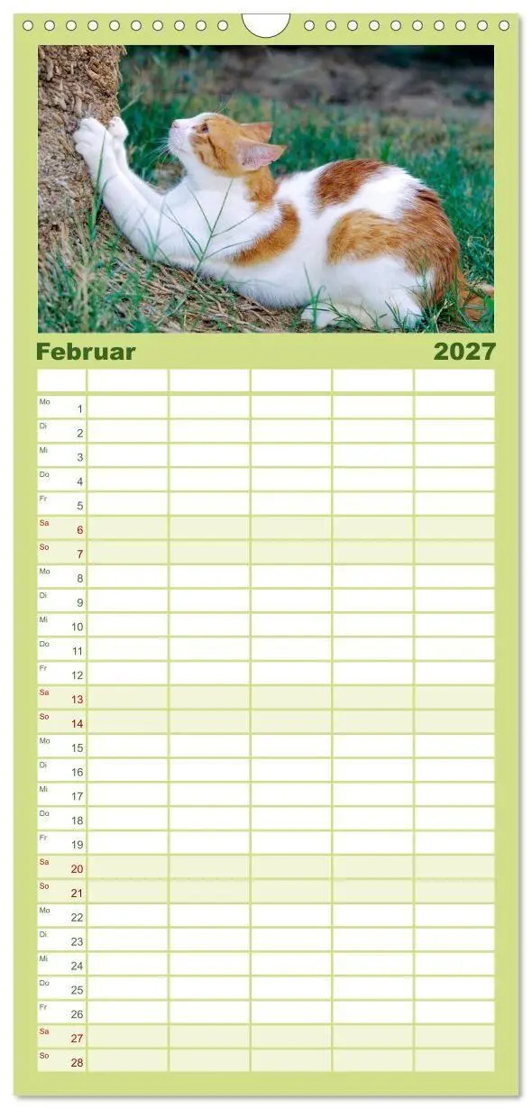 Bild: 9783594339848 | Familienplaner 2027 - Katzen mit 5 Spalten (Wandkalender, 21 x 45...