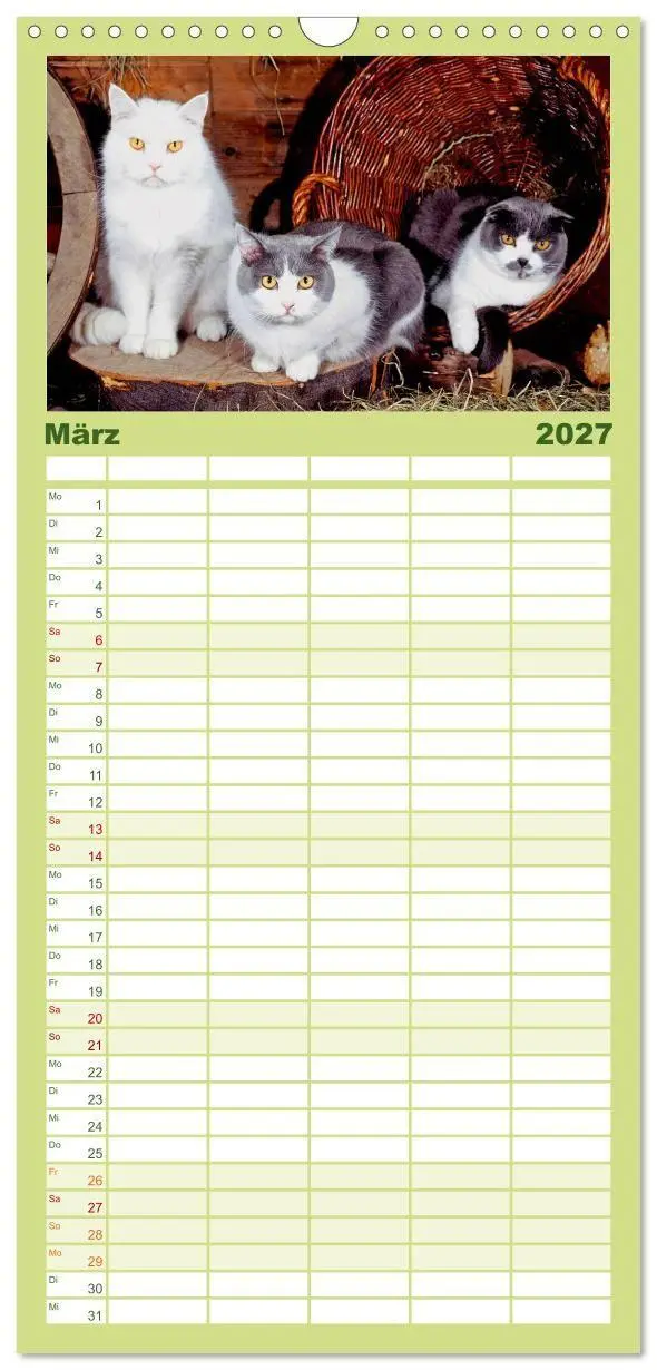 Bild: 9783594339848 | Familienplaner 2027 - Katzen mit 5 Spalten (Wandkalender, 21 x 45...