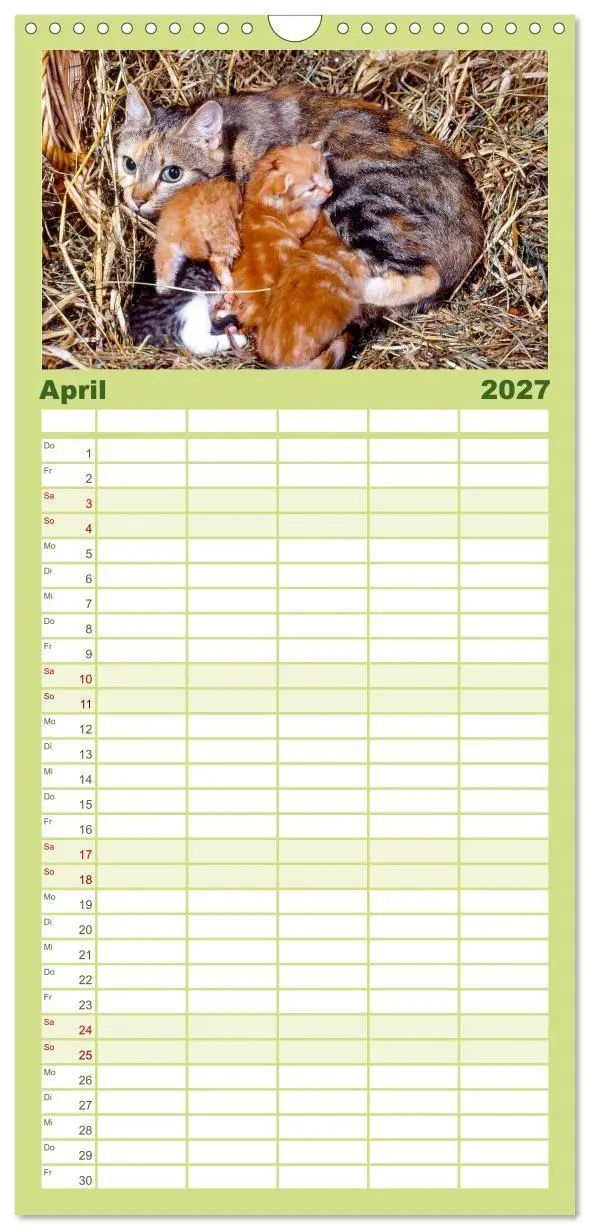 Bild: 9783594339848 | Familienplaner 2027 - Katzen mit 5 Spalten (Wandkalender, 21 x 45...