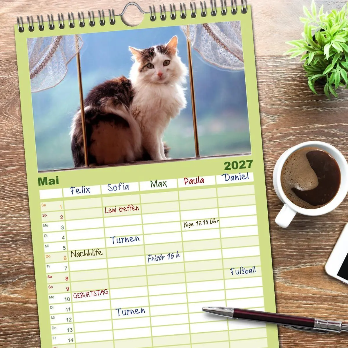 Bild: 9783594339848 | Familienplaner 2027 - Katzen mit 5 Spalten (Wandkalender, 21 x 45...