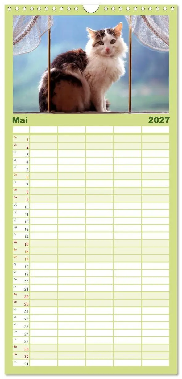 Bild: 9783594339848 | Familienplaner 2027 - Katzen mit 5 Spalten (Wandkalender, 21 x 45...
