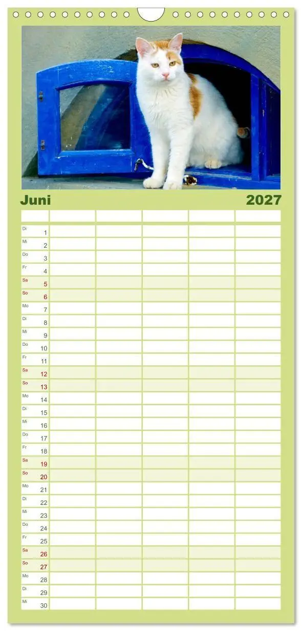 Bild: 9783594339848 | Familienplaner 2027 - Katzen mit 5 Spalten (Wandkalender, 21 x 45...