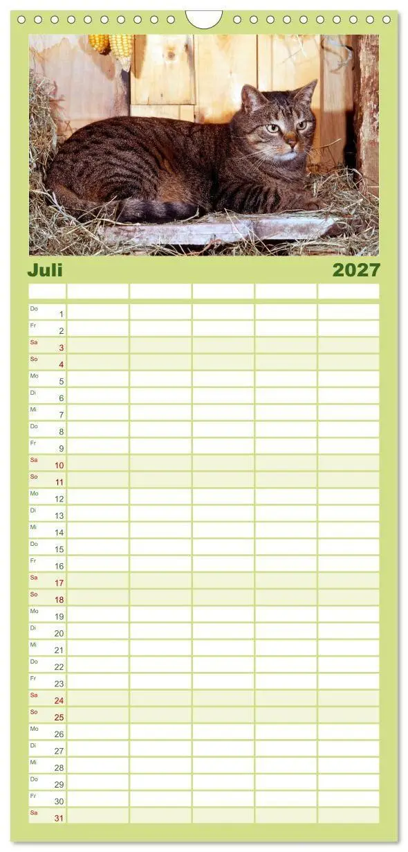 Bild: 9783594339848 | Familienplaner 2027 - Katzen mit 5 Spalten (Wandkalender, 21 x 45...