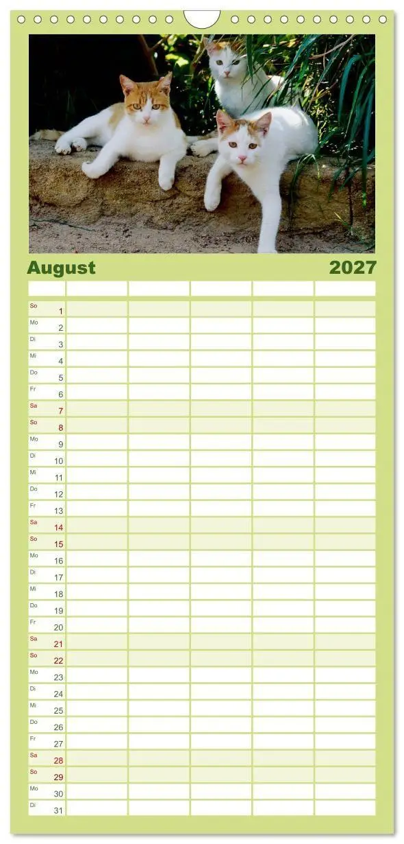 Bild: 9783594339848 | Familienplaner 2027 - Katzen mit 5 Spalten (Wandkalender, 21 x 45...
