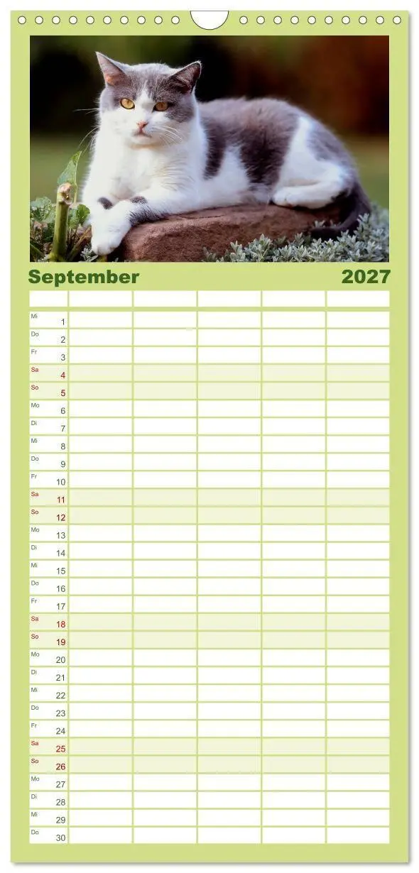 Bild: 9783594339848 | Familienplaner 2027 - Katzen mit 5 Spalten (Wandkalender, 21 x 45...