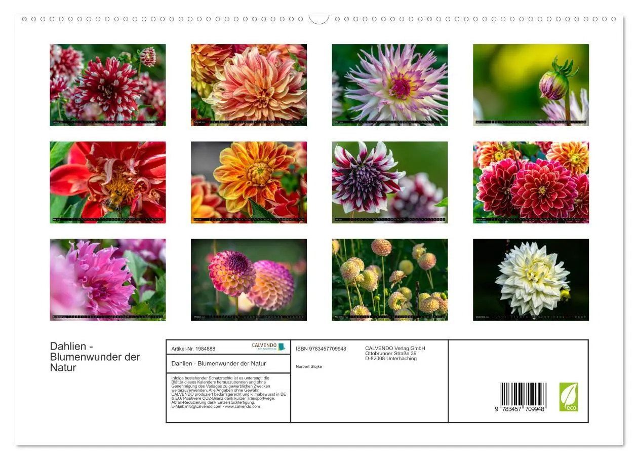Bild: 9783457709948 | Dahlien - Blumenwunder der Natur (hochwertiger Premium Wandkalender...
