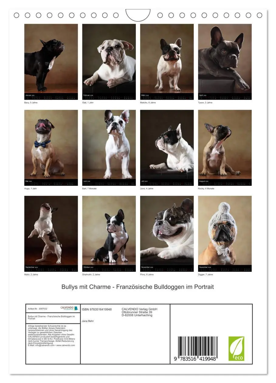 Bild: 9783516419948 | Bullys mit Charme - Französische Bulldoggen im Portrait...