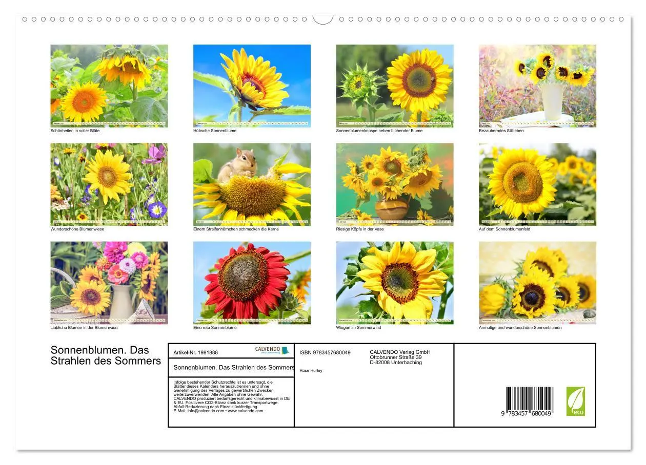 Bild: 9783457680049 | Sonnenblumen. Das Strahlen des Sommers (hochwertiger Premium...