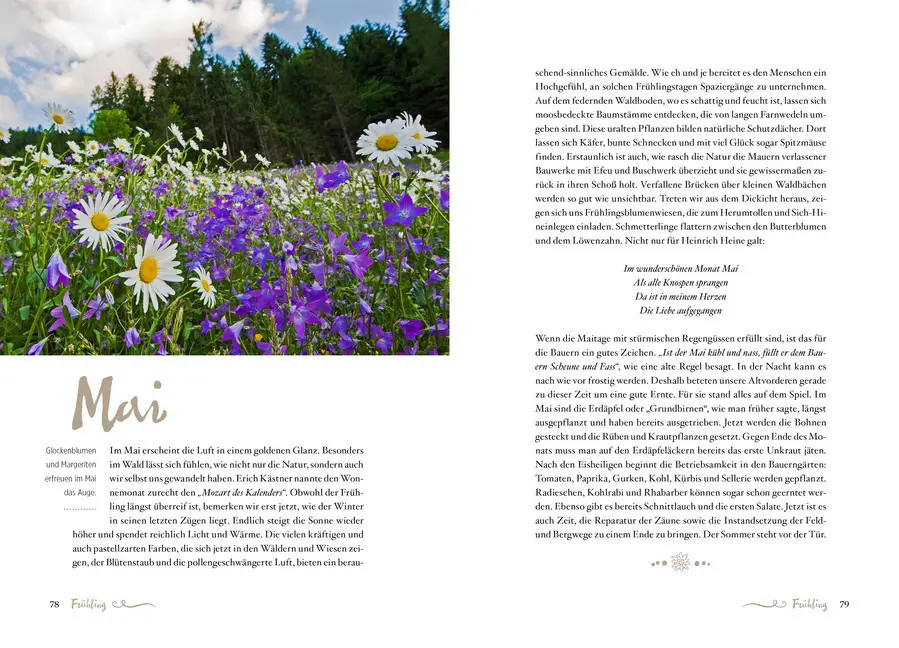 Bild: 9783710400049 | Die Alpenphilosophie | Rahim Taghizadegan (u. a.) | Buch | 272 S.