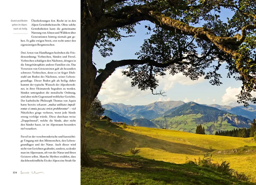 Bild: 9783710400049 | Die Alpenphilosophie | Rahim Taghizadegan (u. a.) | Buch | 272 S.