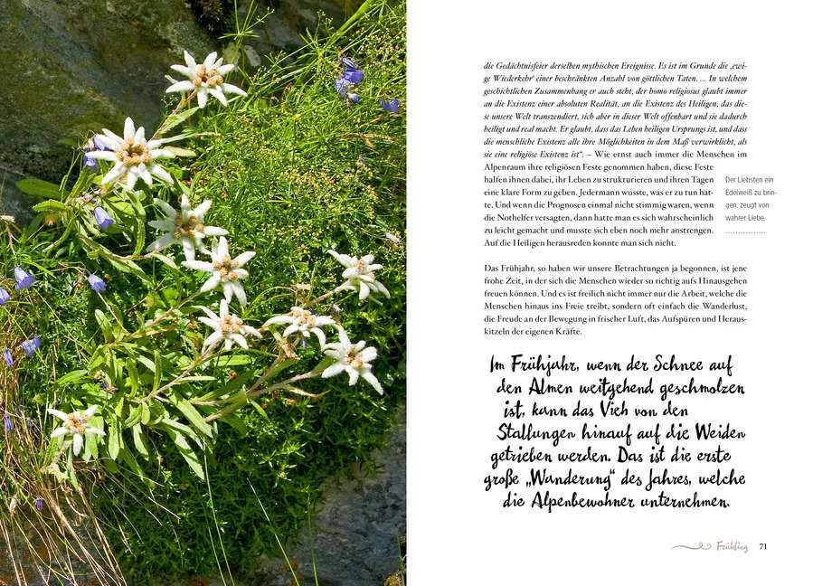 Bild: 9783710400049 | Die Alpenphilosophie | Rahim Taghizadegan (u. a.) | Buch | 272 S.