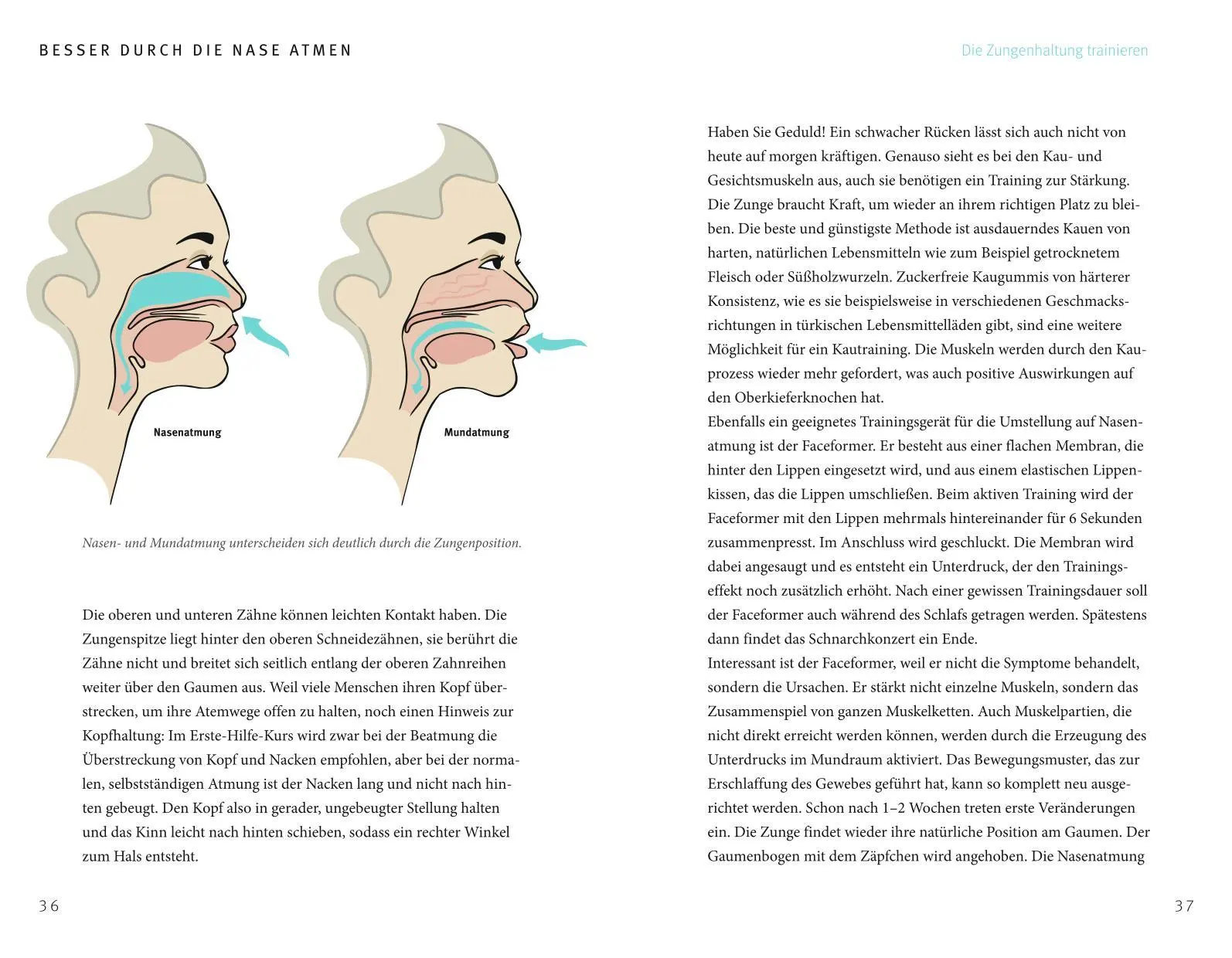 Bild: 9783833880049 | 10 Atemzüge und nie wieder müde | Egor Egorov | Taschenbuch | 176 S.