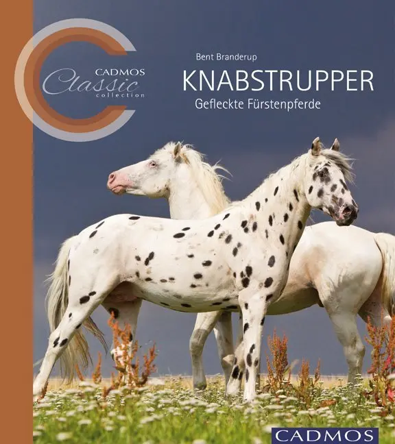 Cover: 9783840400049 | Knabstrupper | Gefleckte Fürstenpferde. Ungekürzte Ausgabe | Branderup