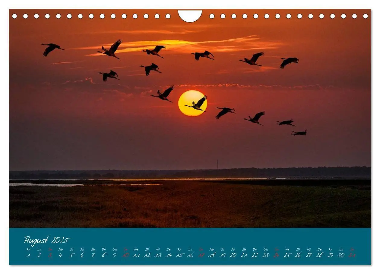 Bild: 9783435650149 | Blick auf die Halbinsel Fischland, Darß und Zingst (Wandkalender...