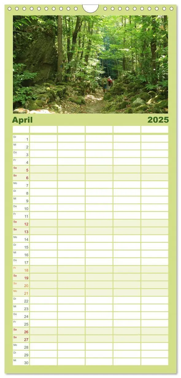 Bild: 9783457120149 | Familienplaner 2025 - Ischia mit 5 Spalten (Wandkalender, 21 x 45...