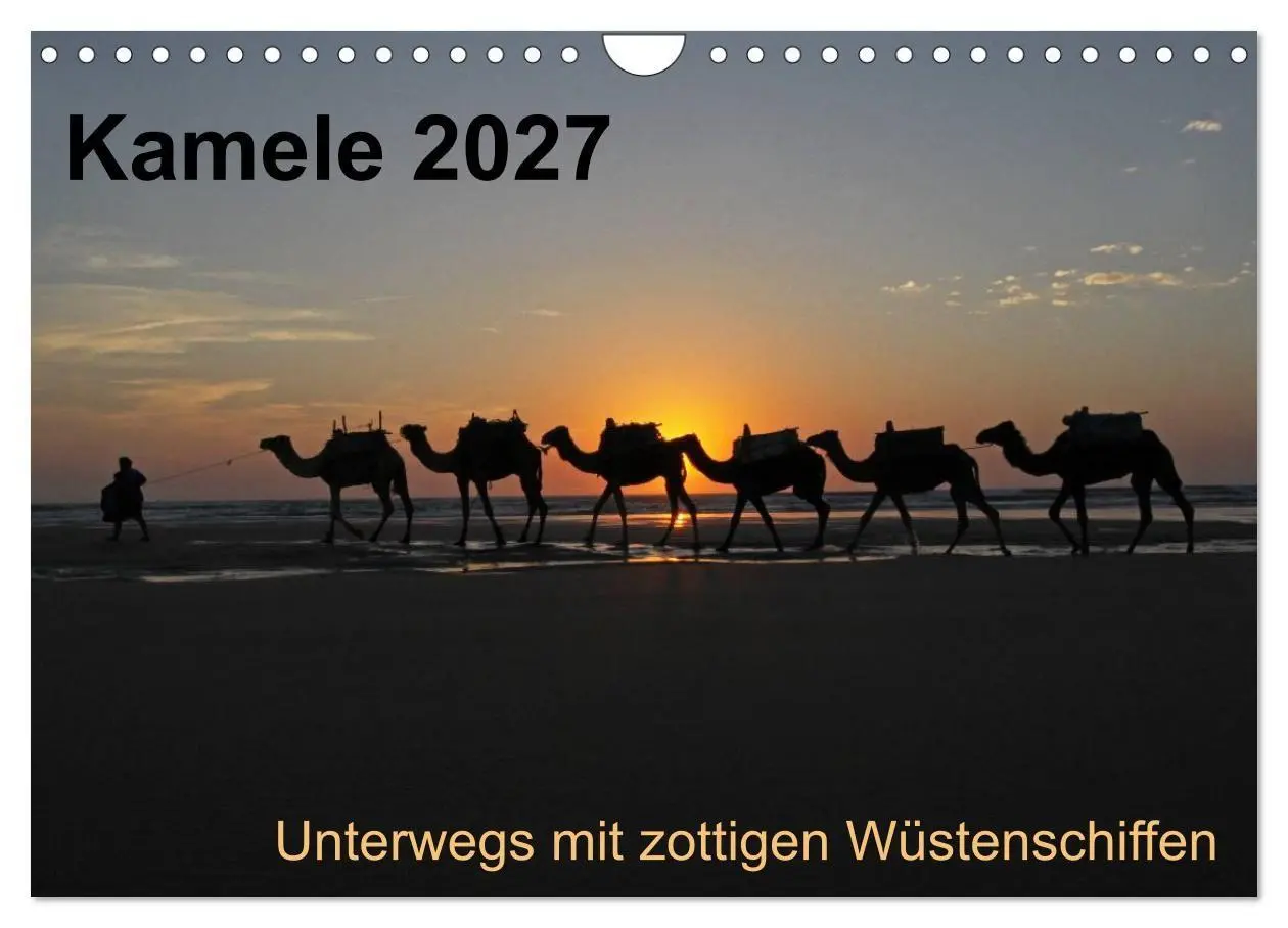 Cover: 9783594120149 | Kamele 2027 - Unterwegs mit zottigen Wüstenschiffen (Wandkalender...