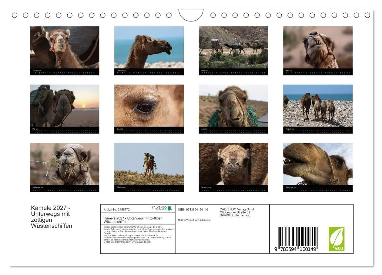 Bild: 9783594120149 | Kamele 2027 - Unterwegs mit zottigen Wüstenschiffen (Wandkalender...
