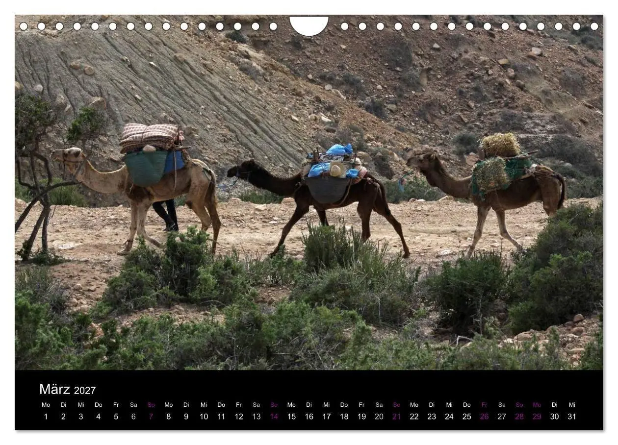 Bild: 9783594120149 | Kamele 2027 - Unterwegs mit zottigen Wüstenschiffen (Wandkalender...
