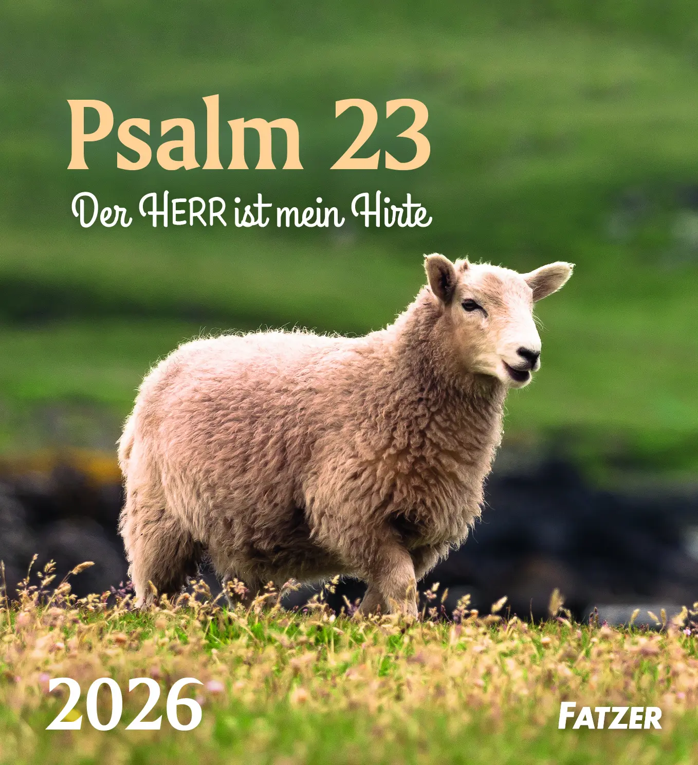 Cover: 9783690220149 | -