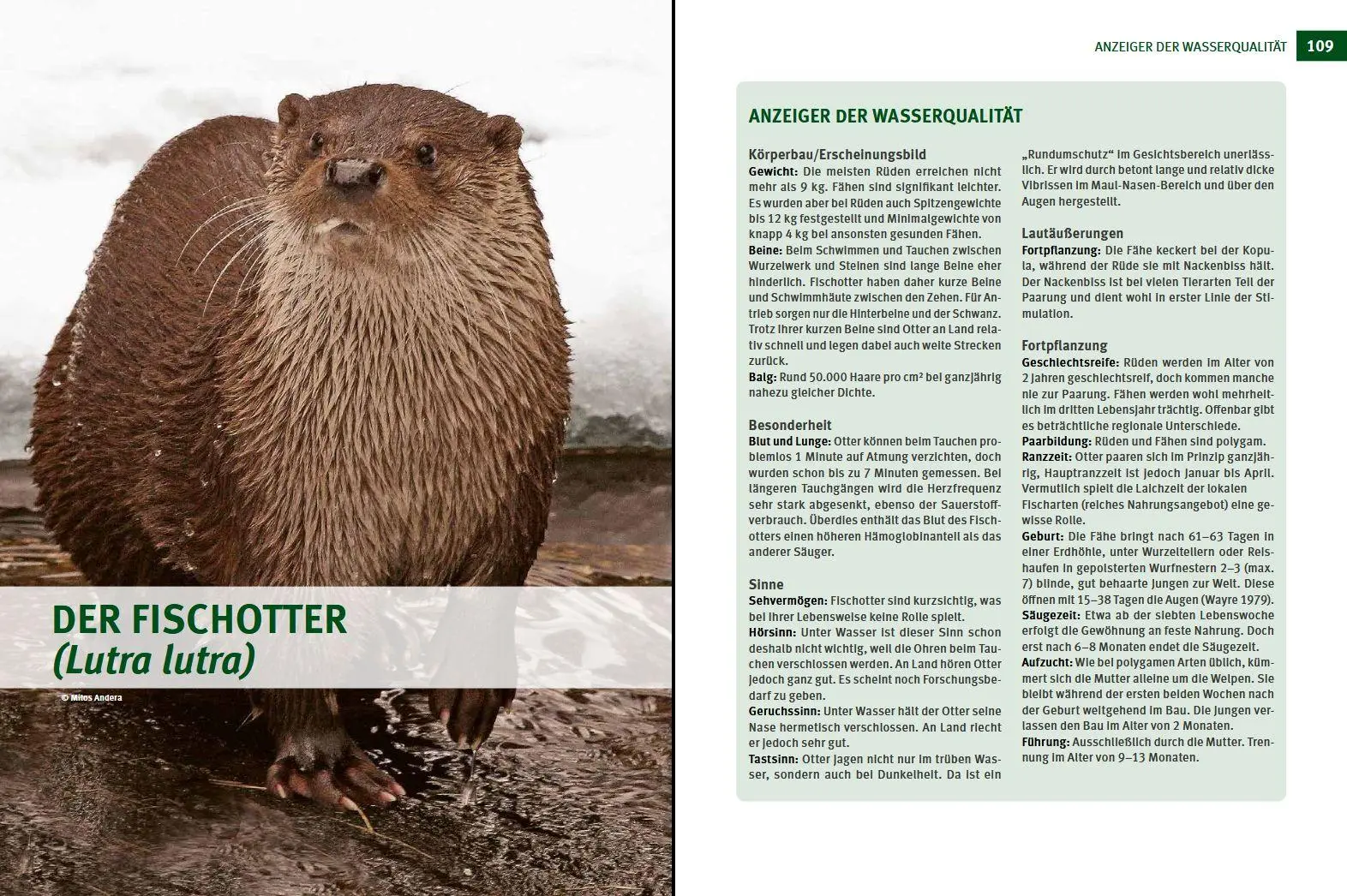 Bild: 9783702020149 | Wildtiere im Fokus | Bruno Hespeler | Buch | 248 S. | Deutsch | 2022