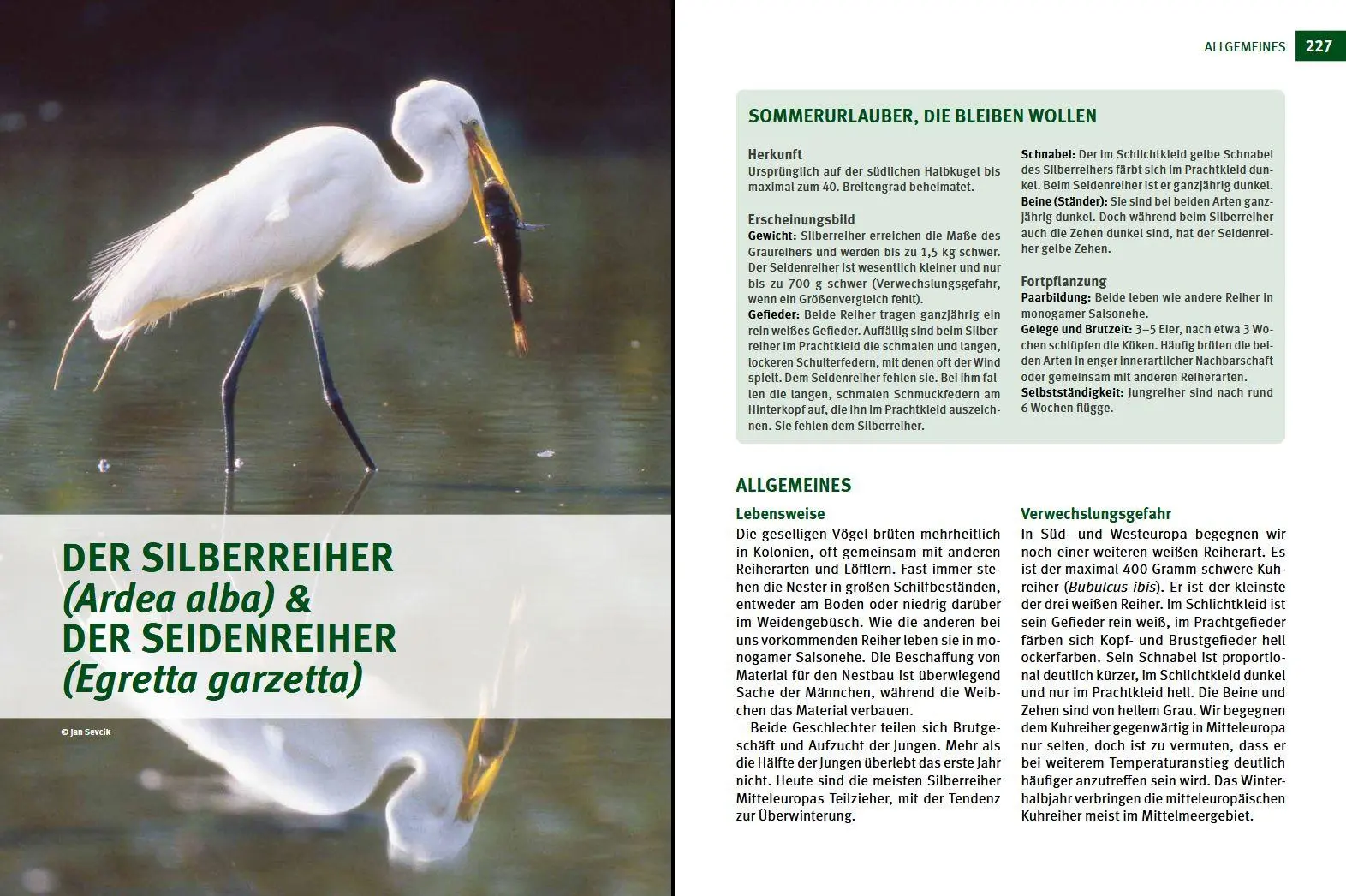 Bild: 9783702020149 | Wildtiere im Fokus | Bruno Hespeler | Buch | 248 S. | Deutsch | 2022