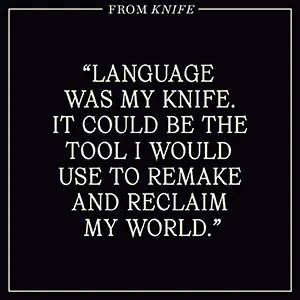 Bild: 9780593730249 | Knife | Meditations After an Attempted Murder | Salman Rushdie | Buch