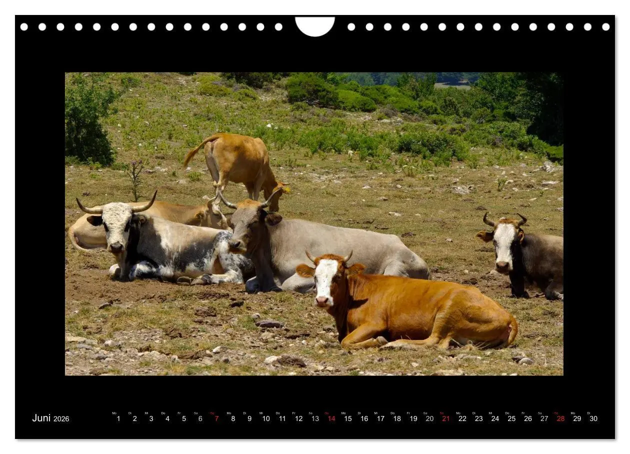 Bild: 9783516200249 | Kalabrien - tief im Süden Italiens (Wandkalender 2026 DIN A4 quer),...