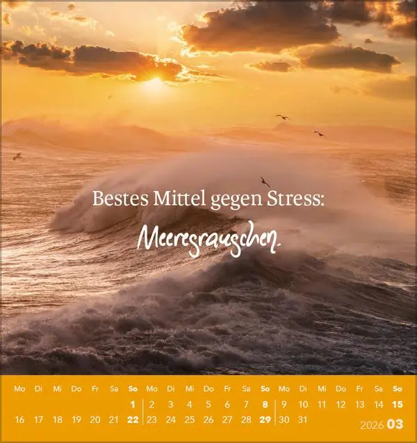 Bild: 9783731890249 | Urlaubsreif 2026 | aufstellbarer Postkartenkalender | Verlag Korsch