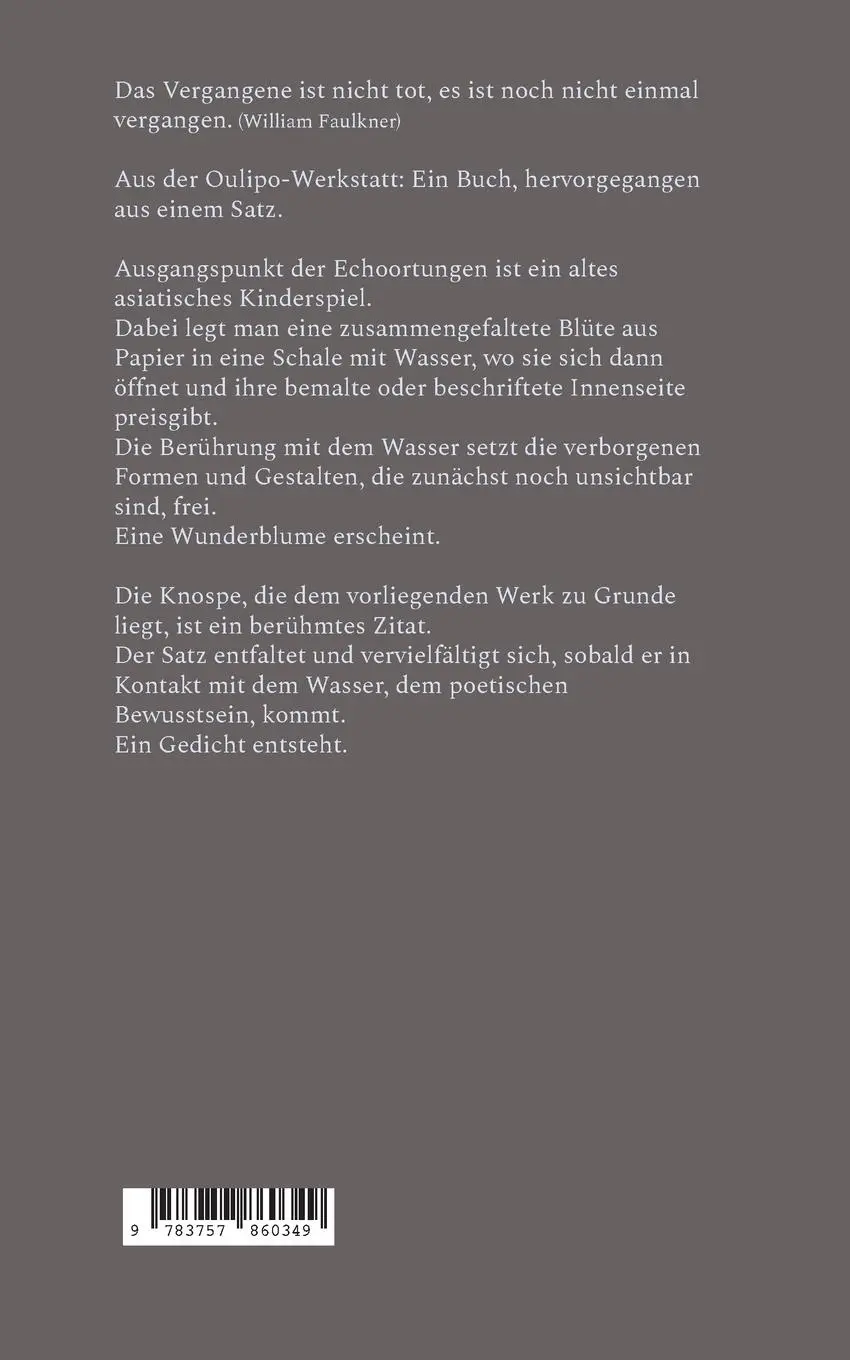 Rückseite: 9783757860349 | Echoortungen | René Steininger | Taschenbuch | Paperback | 144 S.