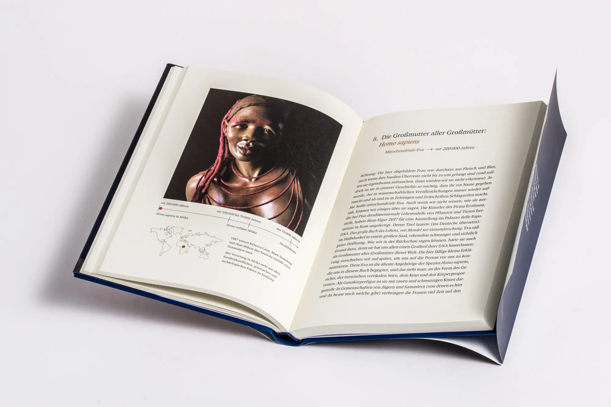 Bild: 9783421070449 | Wer wir waren | Guido Barbujani | Buch | 256 S. | Deutsch | 2025 | DVA