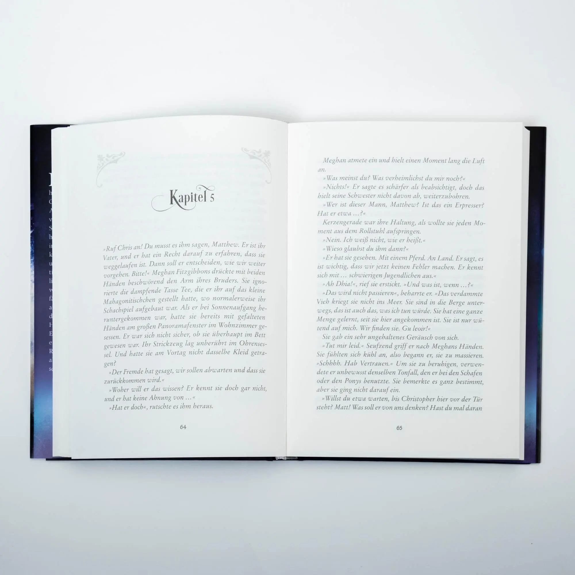 Bild: 9783505150449 | Seahorse - Die Insel der Wasserpferde | Karin Müller | Buch | Seahorse