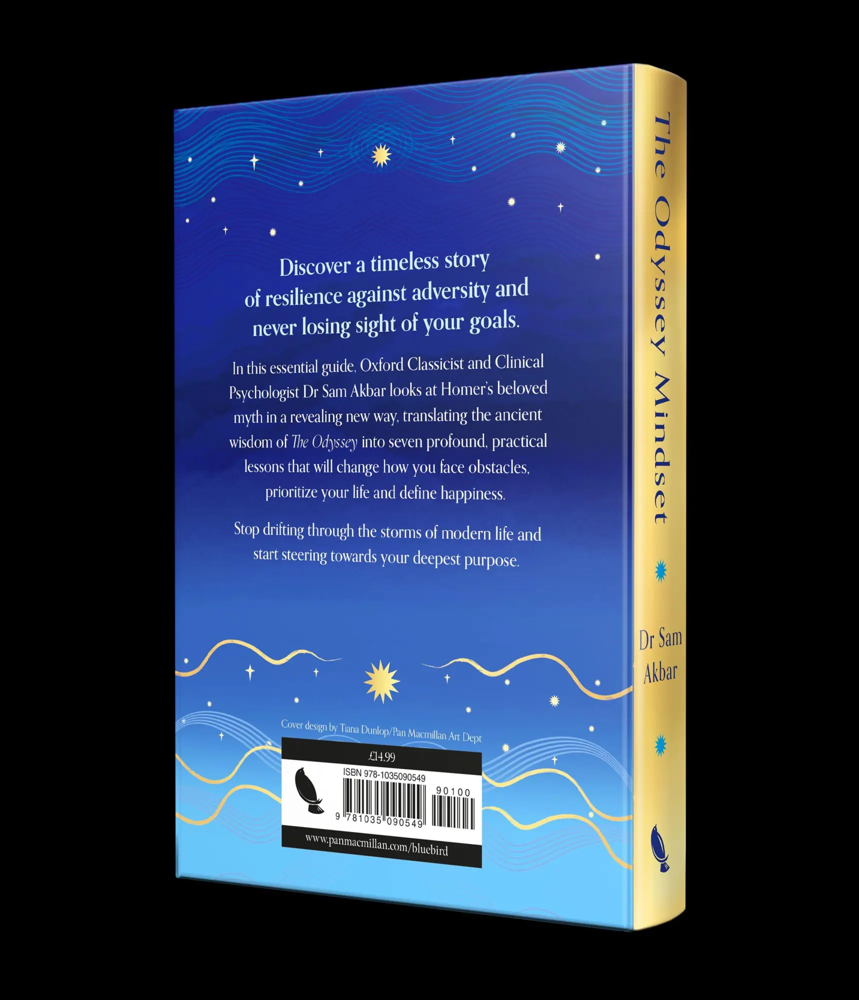 Bild: 9781035090549 | The Odyssey Mindset | 7 Timeless Lessons for Living | Sam Akbar | Buch