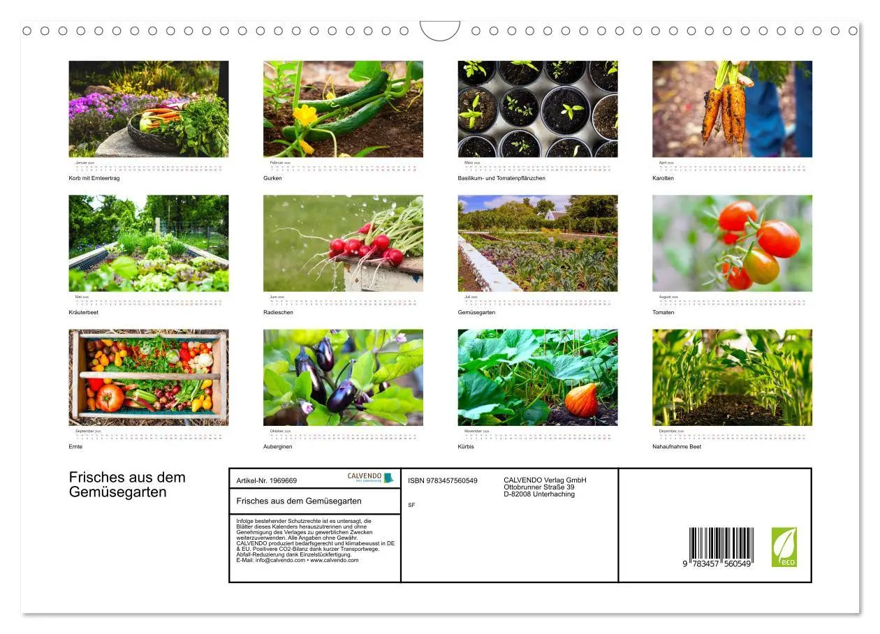 Bild: 9783457560549 | Frisches aus dem Gemüsegarten (Wandkalender 2026 DIN A3 quer),...