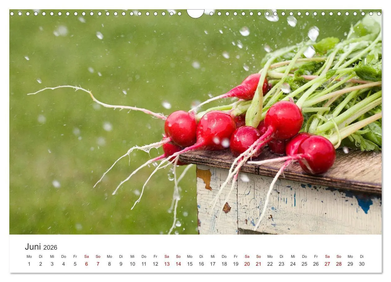 Bild: 9783457560549 | Frisches aus dem Gemüsegarten (Wandkalender 2026 DIN A3 quer),...