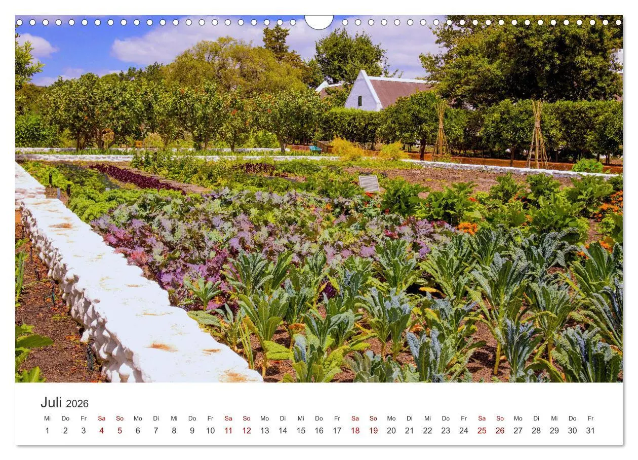Bild: 9783457560549 | Frisches aus dem Gemüsegarten (Wandkalender 2026 DIN A3 quer),...