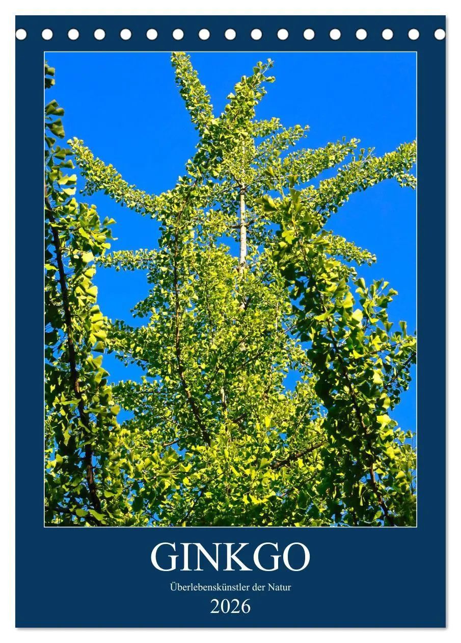 Cover: 9783516400649 | Ginkgo (Tischkalender 2026 DIN A5 hoch), CALVENDO Monatskalender