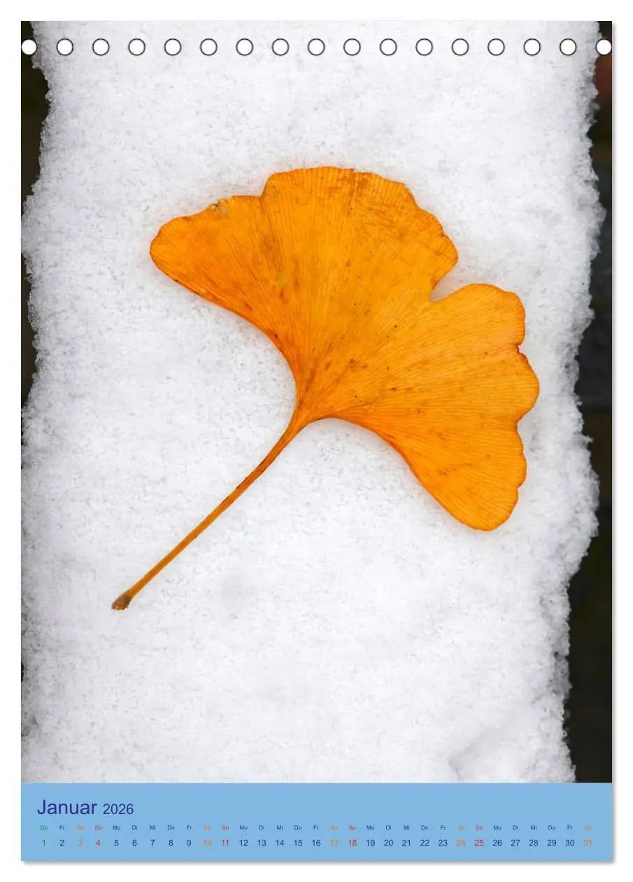 Bild: 9783516400649 | Ginkgo (Tischkalender 2026 DIN A5 hoch), CALVENDO Monatskalender
