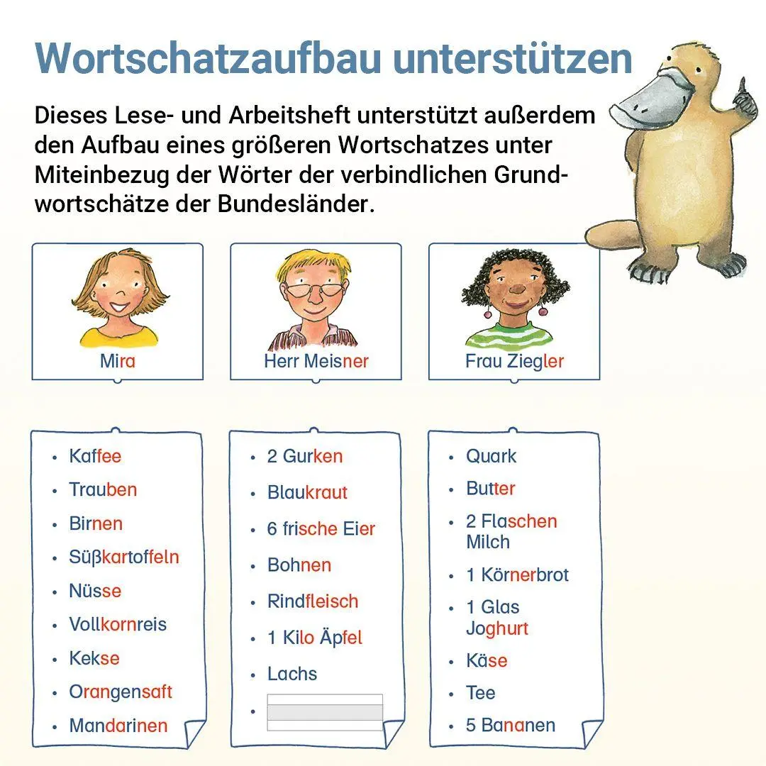 Bild: 9783619220649 | Lesen mit Rico Schnabel, Heft 11: Texte - silbierte Ausgabe | 48 S.