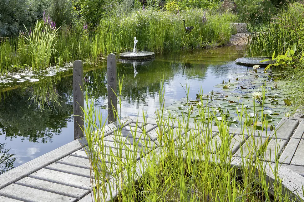 Bild: 9783954530649 | Wasser im Garten 2 | Das große Ideenbuch | Jörg Baumhauer | Buch